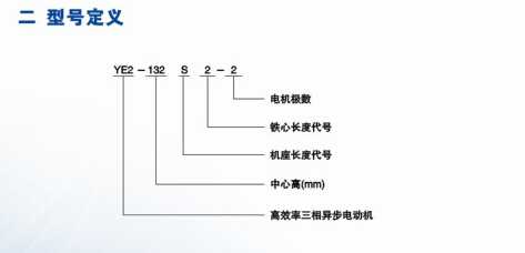 YE2高效節(jié)能電機(jī)(圖1)
