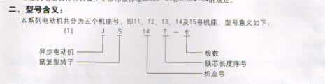 JS電機(jī)(6kV、10kV)(圖1)