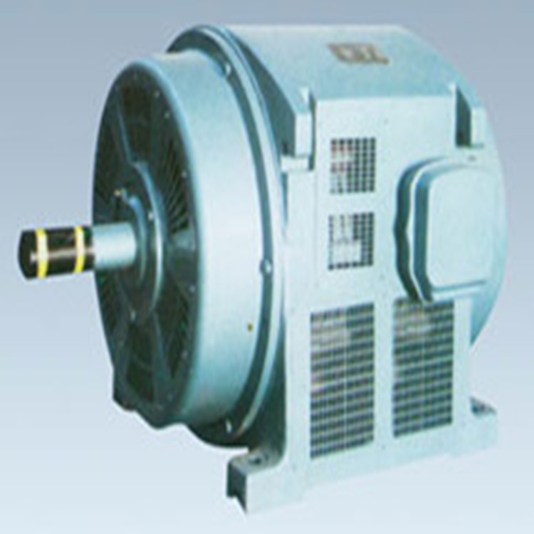 西瑪電機(jī)常見(jiàn)的注意事項(xiàng)