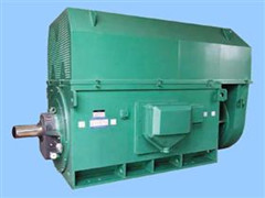 10千伏高壓電機有何優(yōu)點
