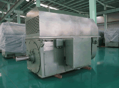 鐵路電機(jī)西安泰富西瑪高壓電機(jī)有哪些啟動(dòng)方法？