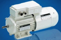 電機的相帶問題以鐵路電機及槽電勢星形圖。