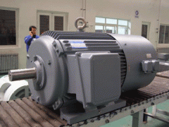 變頻電機(jī)的ZTP電機(jī)應(yīng)用場(chǎng)合。