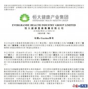 控股e-Traction布局輪轂西電動(dòng)機(jī)瑪電機(jī) 恒大完善產(chǎn)業(yè)鏈布局