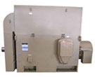 西瑪YRKK系列(H355-JR電機(jī)1000)高壓三相異步電動機(jī)