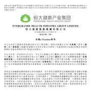 恒大收購(gòu)國(guó)際先進(jìn)輪轂JR電機(jī)電機(jī)技術(shù) 完成新能源汽車