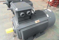 關(guān)于高壓電機(jī)外殼電機(jī)修理防護(hù)等級重要性分析。
