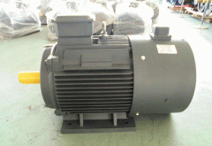 影響高效節(jié)能電機直流電機的效率的因素有哪些？